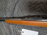 RARE MAHOGANY REMINGTON 582 IN .22LR, WITH 24