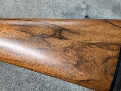 DAKOTA ARMS MODEL 10 IN .223 REM IN EXCELLENT CONDITION, WITH COLOR CASE HARDENED RECEIVER AND RINGS, 2