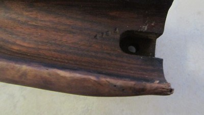 W.GREENER 12ga. GP-not Police. Parts gun-NICE all matching too..! - Image 5 of 15