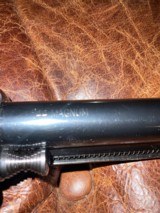 Texas Longhorn Arms - 6 of 6