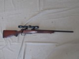 CZ 550 AMERICAN 243win BOLT ACTION RIFLE & LYMAN 4X SCOPE - 1 of 16