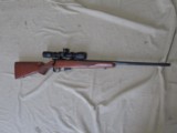 CZ 452-2E AMERICAN 17-HMR BOLT ACTION RIFLE WITH BSA SWEET 17 2-7 SCOPE - 1 of 10