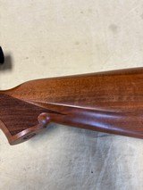 CZ CZ 550 American 308 Win with Bushnell Scope - 10 of 21