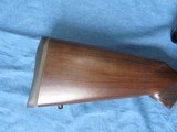 VERY NICE CZ 527 VARMINT 204 RUG BOLT ACTION RIFLE WITH NIKON SCOPE & SET TRIGGER - 5 of 13
