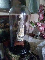 Asian Art Ivory Carving of Phoenix Bird 10 inch on with wood stand Fine scrimshaw detail - 1 of 7