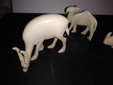 Africa Carved Ivory Animal Collection of 4 Pieces Nicely done Rhino, Gazelle, Camel. - 2 of 5
