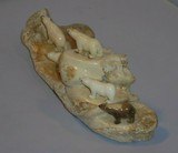 Choice of large Inuit Walrus/Ivory carvingsBears signed or Walrus and Bear on Fossil - 2 of 6