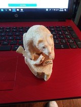 Eddie Syngor Original Inuit Carving Seated Bear with Fish 3" tall Walrus Ivory Highly Detailed - 2 of 5