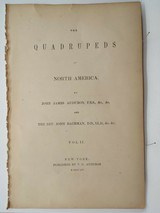 Original 8vo Audubon Quadrupeds Of America Print 1851: POLAR BEAR.
Plate 91 - 2 of 4