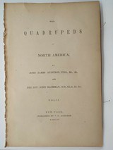 Collection 40 plusAudubon Quadruped prints 1848-19601st ed. set Polar Bear, Grizzly, & More plus 3 volume text - 6 of 11