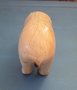Inuit carved Walrus Tusk Polar Bear 5 incheslong scrimshaw detail. Rare find !! - 3 of 5