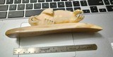 A Laying WalrusCarving 6 3/4 inches long.8.705 oz. Signed Ivan P. Savoonga, AK - 2 of 5