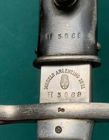 ARGENTINE 1891 Bayonet FULL CRISP CREST w MATCHING Numbered Scabbard Original German made - 1 of 18