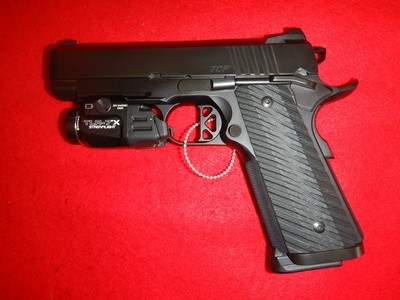 Dan Wesson TCP 45 ACP w/TLR-7X Streamlight - Image 1 of 7
