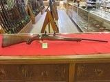 Ruger M77, 17 HMR - 2 of 2