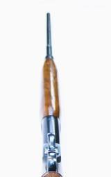 Winchester Model 71 348 WIN. - 14 of 15