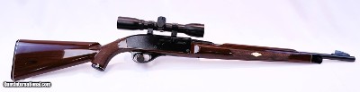 Remington Nylon 66 Mohawk Brown .22 long rifle