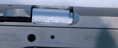 EAA Tanfolglio Witness .45ACP Wonder Finish - Image 9 of 15