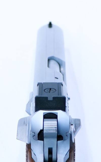 EAA Tanfoglio Witness Limited Custom 10mm - Image 13 of 15