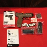 SIG SAUER P365XL NRA 9MM COY 3.7" XRAY 365XL-9-COYXR3-NRA19|XRAY SGTS 9mm W/3 MAGS - 1 of 7