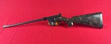 Armalite AR-7 Explorer Original Costa Mesa Production - 4 of 5
