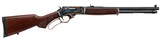 Henry-Turnbull Rifle - 2 of 5
