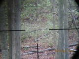 Vortex Viper PST Gen II 5-25x50 EBR-2C Scope - 13 of 13