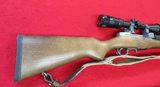 Ruger Mini 14, 5.56 Nato , Bushnell Banner 2 Scope, AS NEW CONDITION - 3 of 12