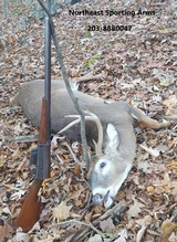 Remington 700 ADL, 243 Win., Bushnell Scope Chief IV 3-9X, Sling - 14 of 15