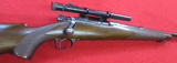 Winchester Model 70 Pre War, 257 Roberts, Griffin & Howe Mount with Weaver 330 Scope - Image 1 of 15