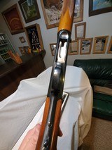 BROWNING AUTO 5 20 GAUGE - 15 of 15