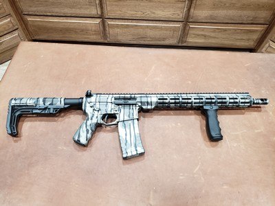 Bay County Armory Sentry 5.56 NATO AR-15 Camo SGO Custom