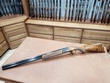 Rizzini Aurum EVO Classic 20 Ga Case Colored 28