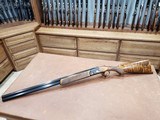 Rizzini Aurum EVO Classic 20 Ga Case Colored 28