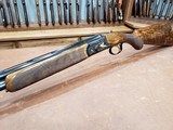 Rizzini Aurum EVO Classic 20 Ga Case Colored 28