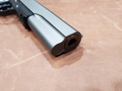 Dan Wesson 1911 Kodiak 10mm Tri-Tone 6