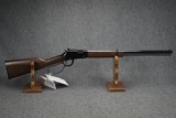 Henry Repeating Arms H001TMRP Small Game Rifle 22 Magnum 20.5" Barrel - 1 of 8