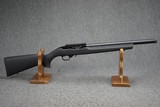 Ruger 10/22 Carbine 22 LR 16.12