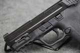 Smith & Wesson M&P9 M2.0 Shield EZ 9mm 3.67