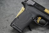 Smith & Wesson PC M&P Shield EZ 9mm 3.83