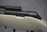 Springfield Armory 2020 Rimfire Target 22 LR 20