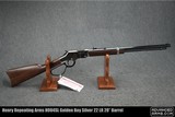Henry Repeating Arms H004SL Golden Boy Silver 22 LR 20” Barrel - 1 of 2
