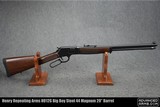 Henry Repeating Arms H012G Big Boy Steel 44 Magnum 20” Barrel
