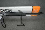 **BNIB** HENRY LEVER X MODEL .360 BUCKHAMMER 21