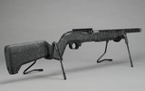 Ruger 10/22 Carbon - .22 LR - 16.1
