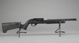 Ruger 10/22 Carbon - .22 LR - 16.1