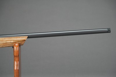 CZ 457 AT-ONE VARMINT, 22LR, 24