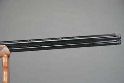 POINTER ACRIUS, 20 GAUGE, 28
