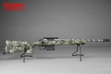 HORIZON FIREARMS VANDAL X, .22 CREEDMOOR, 18