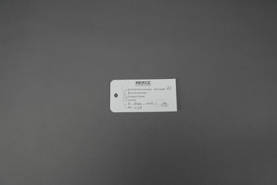 FIERCE CARBON ROGUE XP, 6.5 PRC, 22